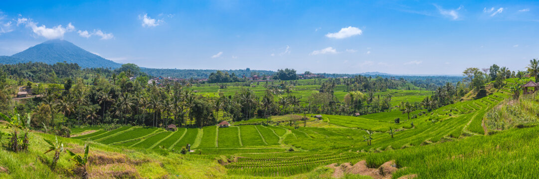 Die Reisterrassen von Jatiluwih auf Bali, Indonesien