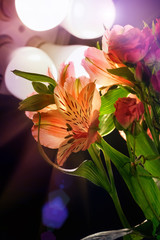 Bouquet of flowers on a dark background with artificial lighting in the studio. Constant light. Close-up.