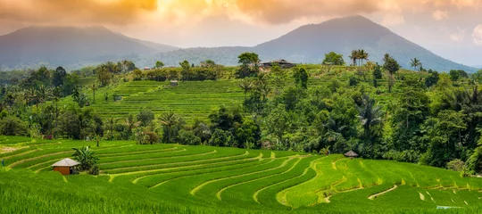 Fototapeten Bali Die Reisterrassen von Jatiluwih auf Bali, Indonesien  © franzeldr