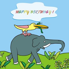 happy birthday, greeting card, elephant and bird, funny vector illustration
