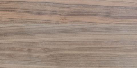 natural wood tree nature background