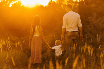 Happy family walks in the sunset in the field. Holding hands all together.