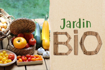 Jardin Bio, jardin potager, agriculture biologique