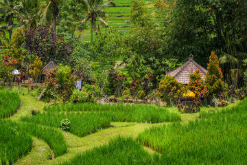Kleiner Tempel in den Jatiluwih Reisterrassen auf Bali, Indonesien