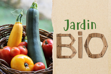 Jardin Bio, jardin potager, agriculture biologique