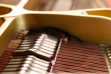 Grand Piano - Piano action, dampers, strings and hammers close-up