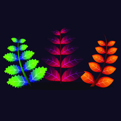 A colorful plant n leaves vector illustration