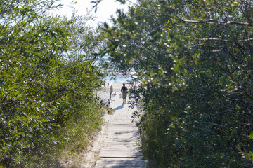 Seaside landscape in day. Bridge of branches on beach. Relax on the beach. Calm and sort seascape. Woman silhouette walking on the sea coast. Unrecognizable people. Sunny day in summer time on beach.