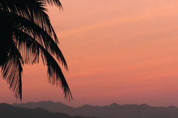 The sun over sea. Amazing red sunrise on beach palms island. Orange colors sunrise and waves. Nature sun sunrise palms beach background.