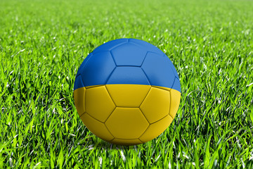 Ukraine Flag on Soccer Ball