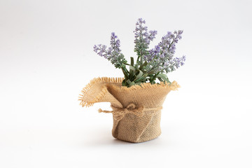 lavender in a decorative pot made of linen fabric with a tied thread. isolated