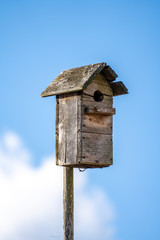 old wooden bird house