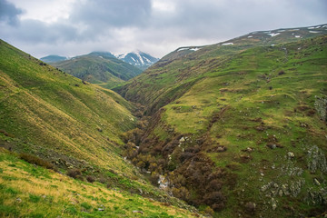 Fototapeta premium nature