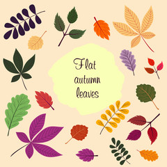 Set of vector decorative elements from autumn leaves with the inscription "Flat autumn leaves", made in colorful seasonal colors. Leaves can be used as elements for decoration or scrapbooking.