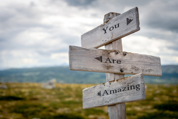 you are amazing text engraved on old wooden signpost outdoors in nature. Quotes, words and illustration concept.