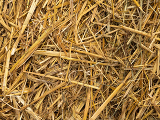 Am Boden liegendes gelbliches Stroh