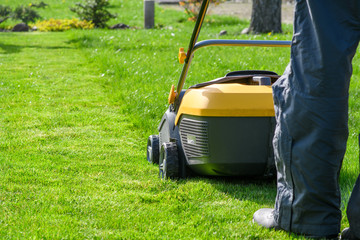 Summer and spring season sunny lawn mowing in the garden.