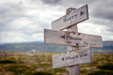 sorry please thank you text engraved on old wooden signpost outdoors in nature. Quotes, words and...