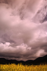 Stormy sky over Buffalo Park, Flagstaff, Arizona