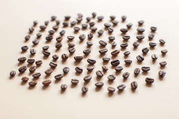 cream beans with shadows cream background