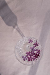 Lilac petals in a glass on a white background