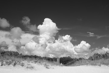 Large Cumulus clouds against a dramatic dark sky and sand dunes on a South Carolina Beach