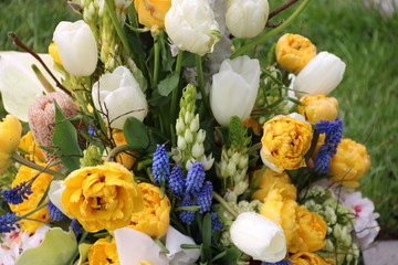 Blüten der Trauer im Frühling