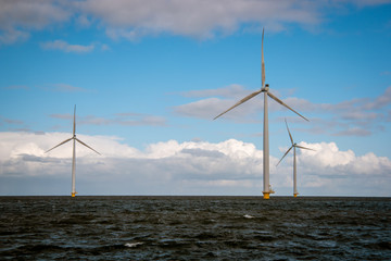 path by the dike to the huge windmill park with huge turbines in the Netherlands Noordoostpolder,...