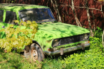 an old green car hidden in the bushes