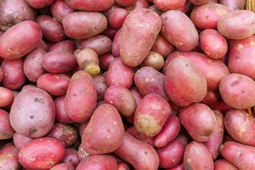 red potato crops background. organic vegetables on the shelves of the hypermarket