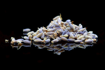Dried lavender on a black background - 348242042