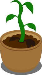 Plant in pot, flower, exotic houseplant vector icon. gardening icon