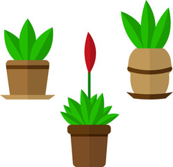 Plant in pot, flower, exotic houseplant vector icon. gardening icon