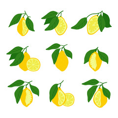Citrus slices. yellow lemons. Set of hand drawn vector designs.
