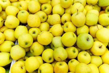 Local produce yellow apples displayed for sale at the market. Organic and bio fresh healthy eating concept.
