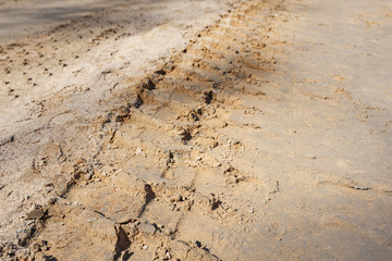 Traces of tire treads on the sand.