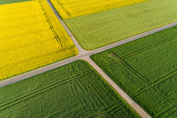 Straßenkreuzung umgeben von Feldern als Luftaufnahme