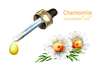 Chamomile  flower and essential oil drop, Hand drawn watercolor illustration isolated on white background