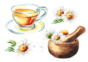 Mortar, tea cup and Chamomile  flowers set, Hand drawn watercolor illustration isolated on white background