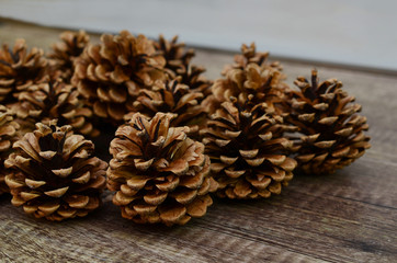 Assorted of pinecones on decoration