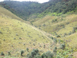 Beautiful landscape of rain forest in Sri Lanka
