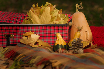Autumn composition with plaid, pumpkins, dry leaves, red suitcase, pine cone and acorns.