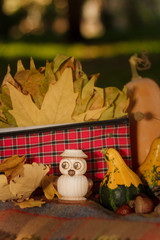 Autumn composition with plaid, pumpkins, dry leaves, red suitcase and wooden owl toy. Vertical shot, copy space.