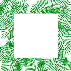 Tropical postcard with palm leaves on a white background. Hand-drawn illustration.