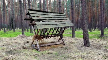 feeder for wild animals in the forest © Konrad_elx