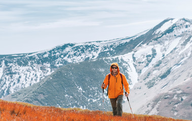 Dressed bright orange jacket backpacker walking by red blueberry field using trekking poles with mountain range background, Slovakia. Active people and European mountain hiking tourism concept image.