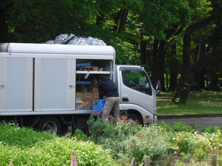 Fototapete bei efototapeten.de bestellen   