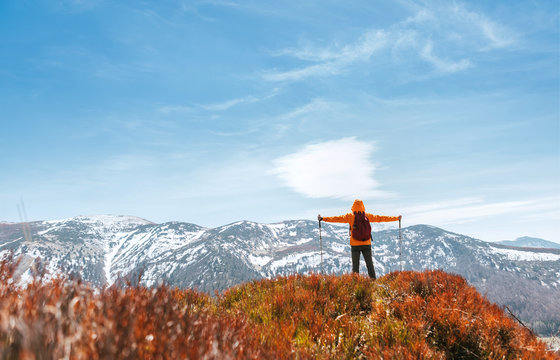 Dressed bright orange jacket backpacker walking by the touristic path using trekking poles in Mala Fatra mountain range,Slovakia. Red Blueberries fields covering the hills at spring time on foreground