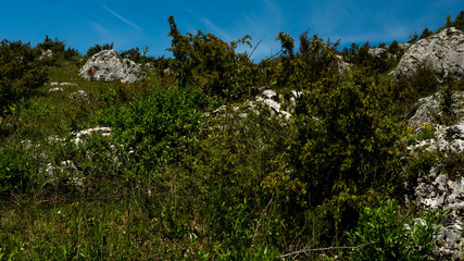 View of the Sokolich Mountains Reserve and rock stones in Olsztyn. A free space for an inscription