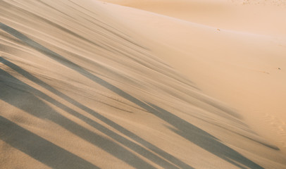 sand dunes in the desert